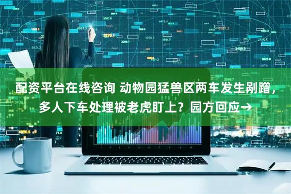 配资平台在线咨询 动物园猛兽区两车发生剐蹭，多人下车处理被老虎盯上？园方回应→