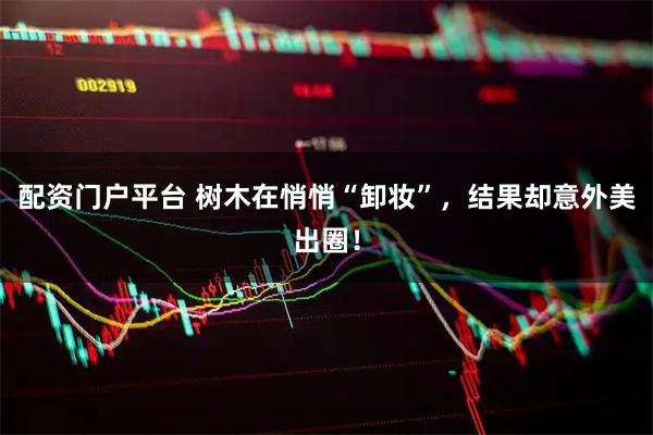 配资门户平台 树木在悄悄“卸妆”,结果却意外美出圈!